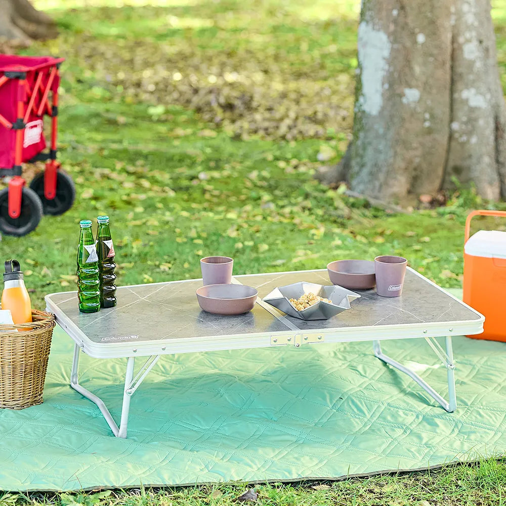 Coleman Outdoor Wagon Table 手拉車枱板 2244020