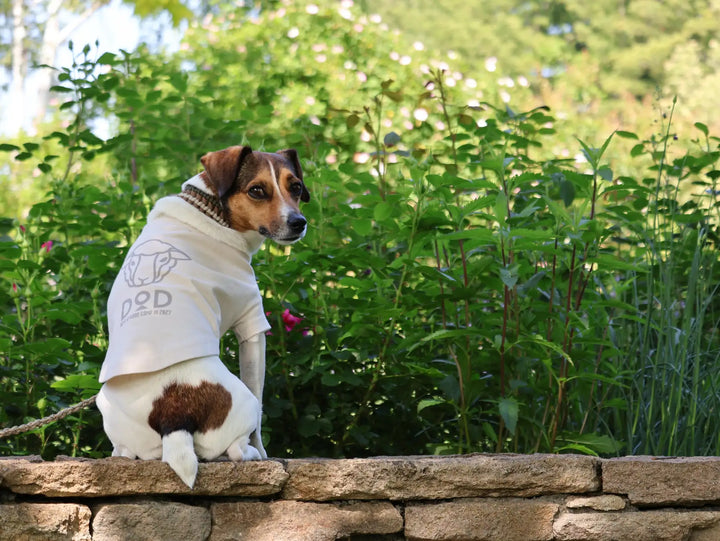 DOD 干支PET Tee (未) 羊年生肖寵物TEE PET290-IV