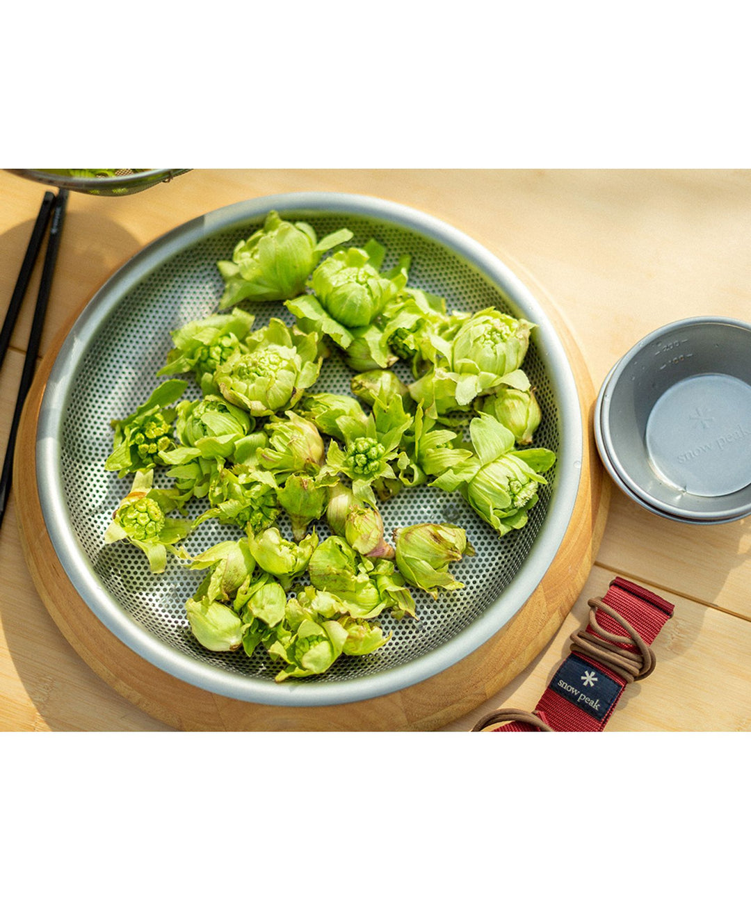 snow peak Party Plate CS-330R