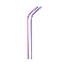 Snow Peak 雪峰祭 Titanium Straw 2 pcs Set Pink & Purple 鈦金屬飲管  FES-222-2